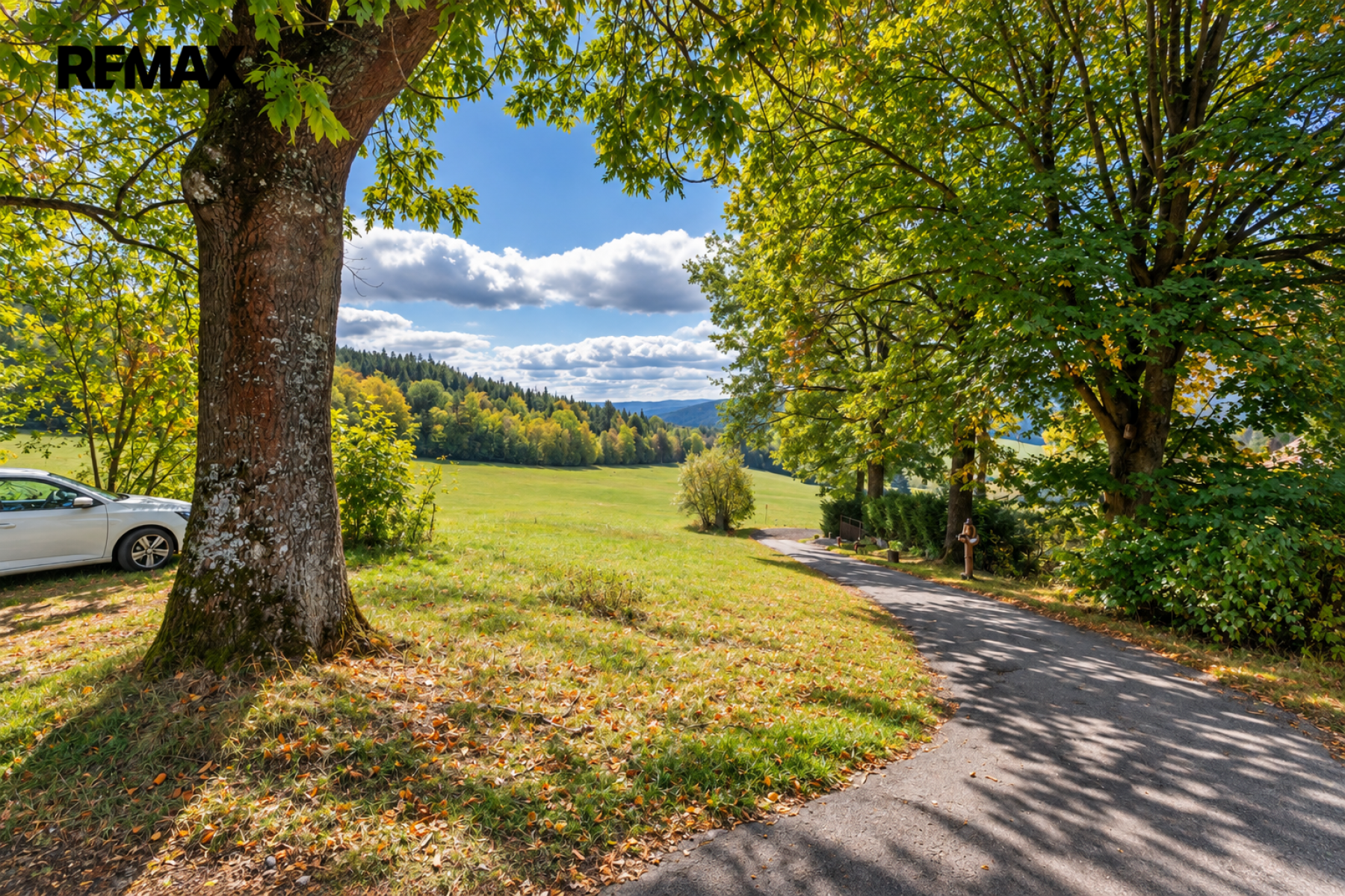 Prodej ovocného sadu 27 377 m², Borová u Chvalšin