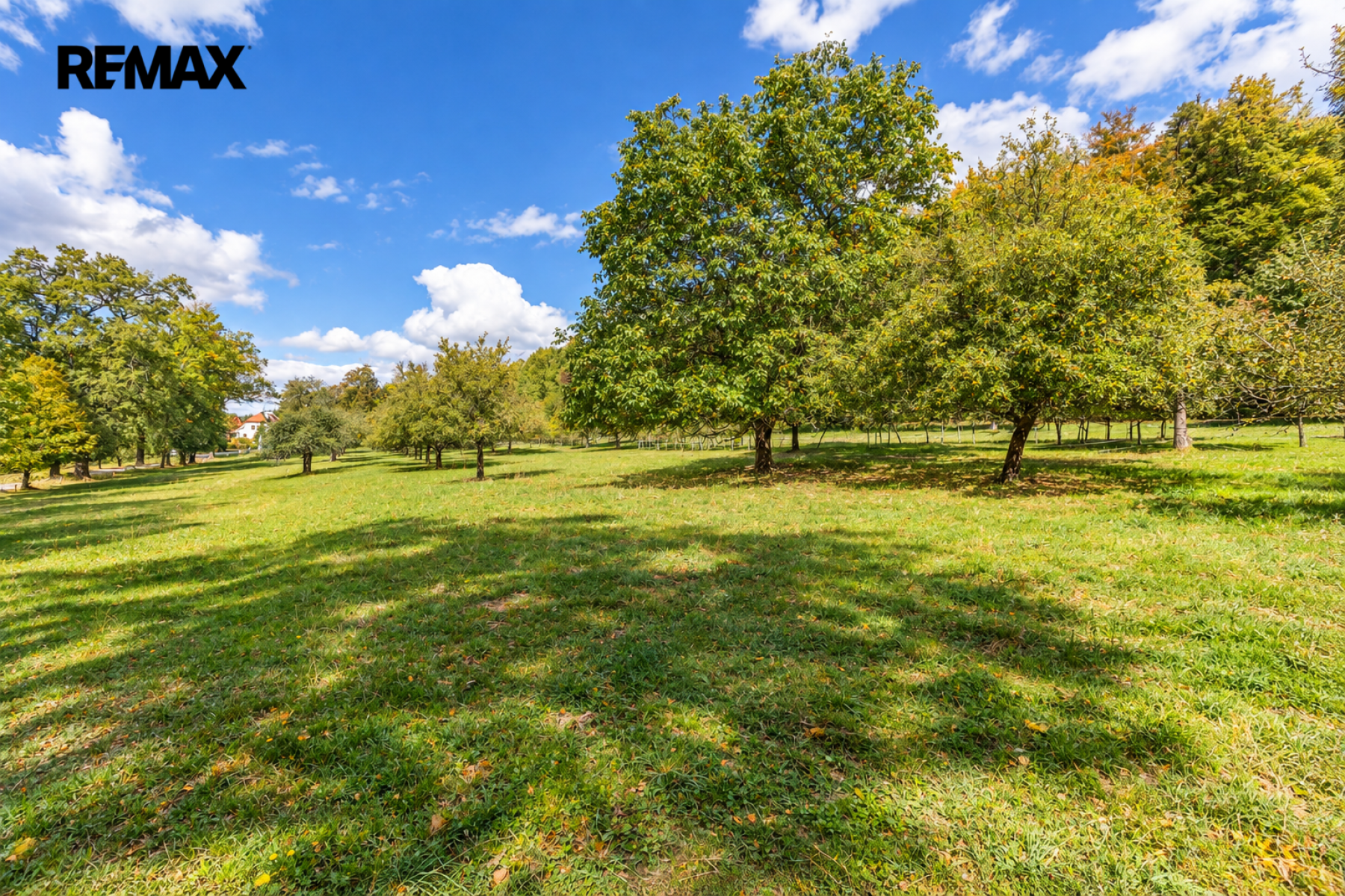 Prodej ovocného sadu 27 377 m², Borová u Chvalšin