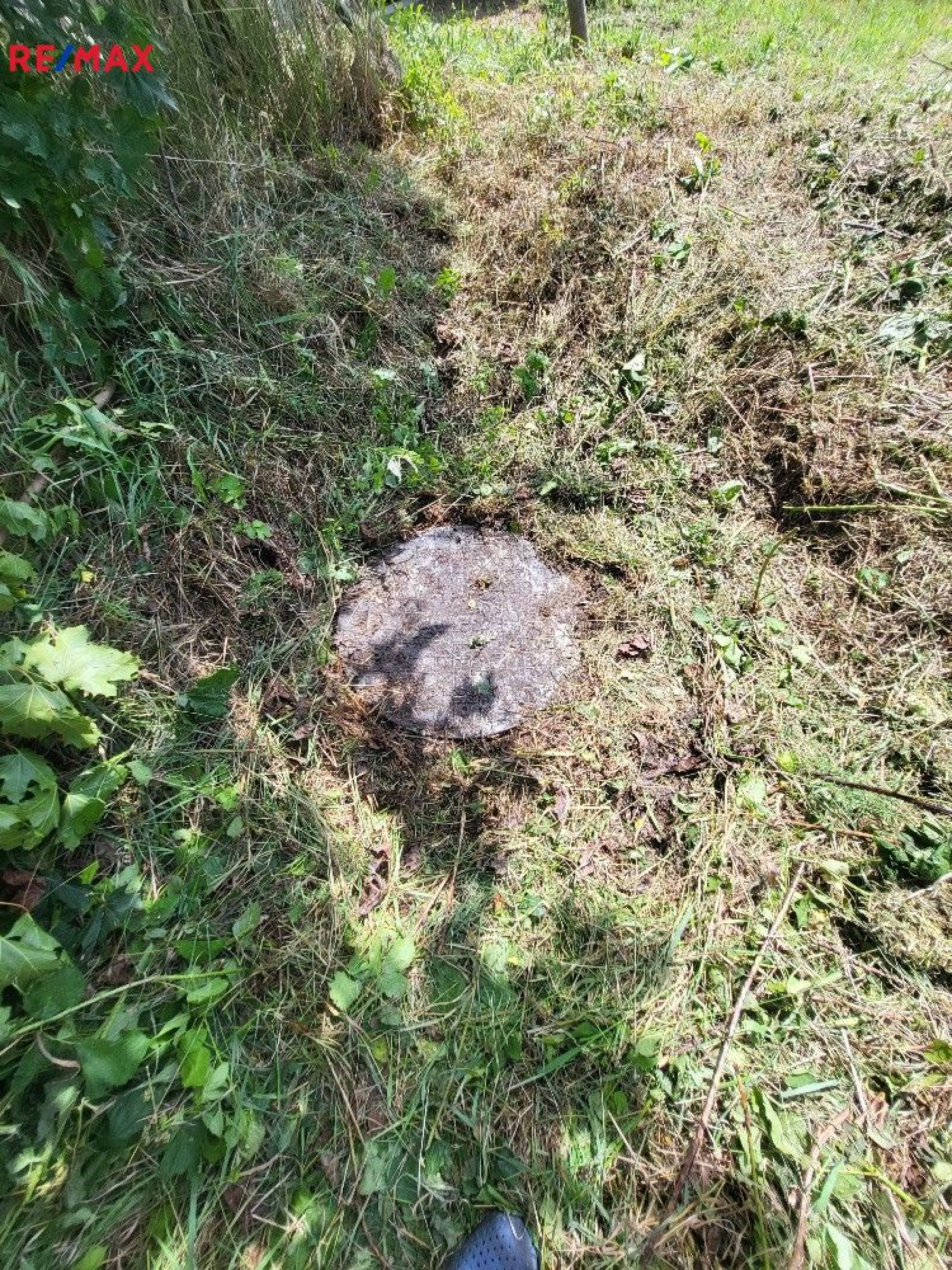 Prodej stavební pozemku v Prosenické lhotě
