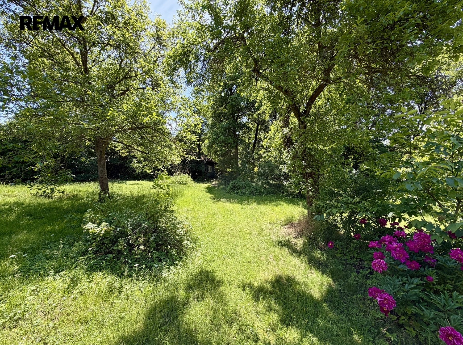 Prodej velkého stavebního pozemku, 2320 m2, Březová - Oleško