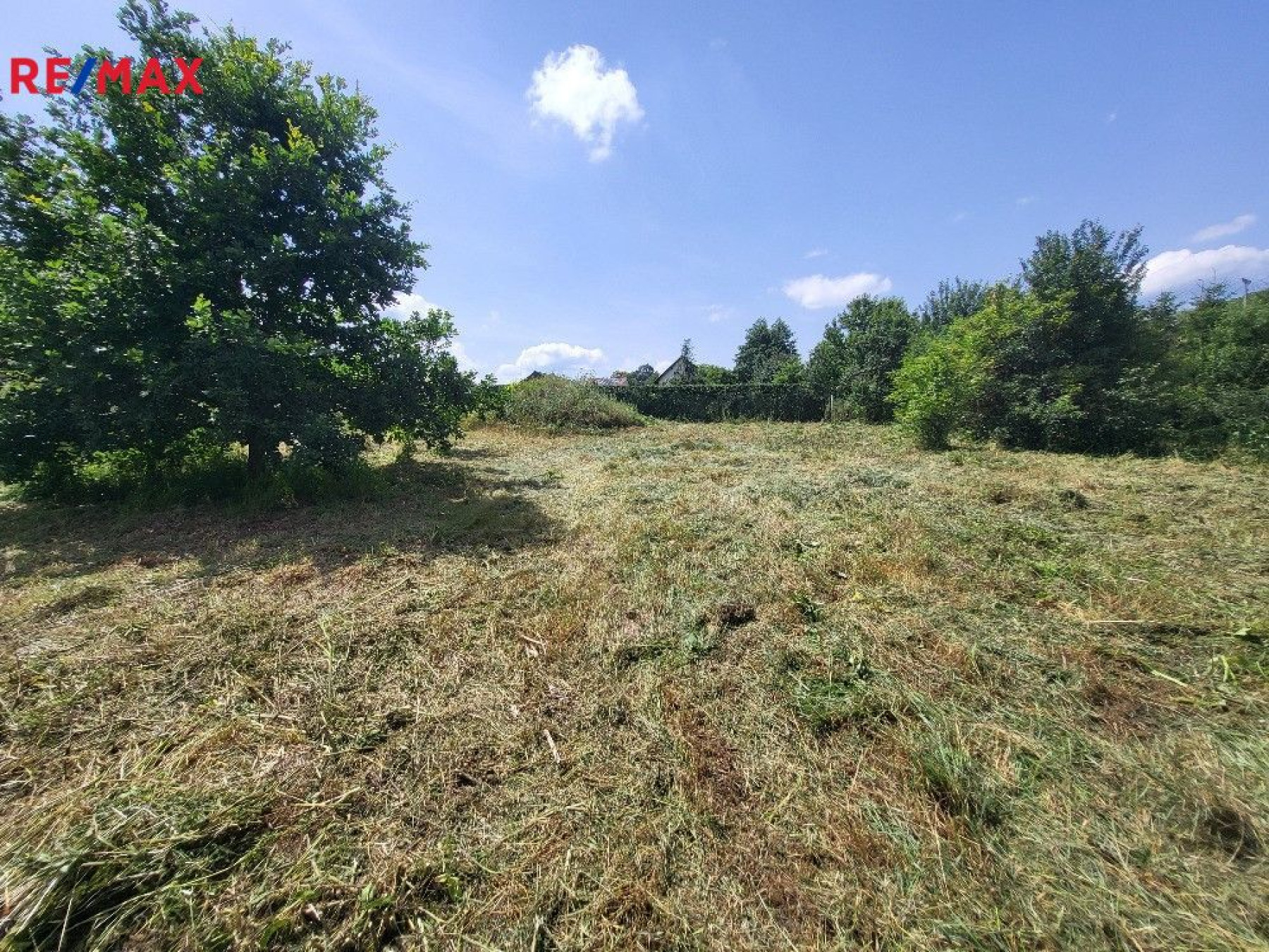 Prodej stavební pozemku v Prosenické lhotě