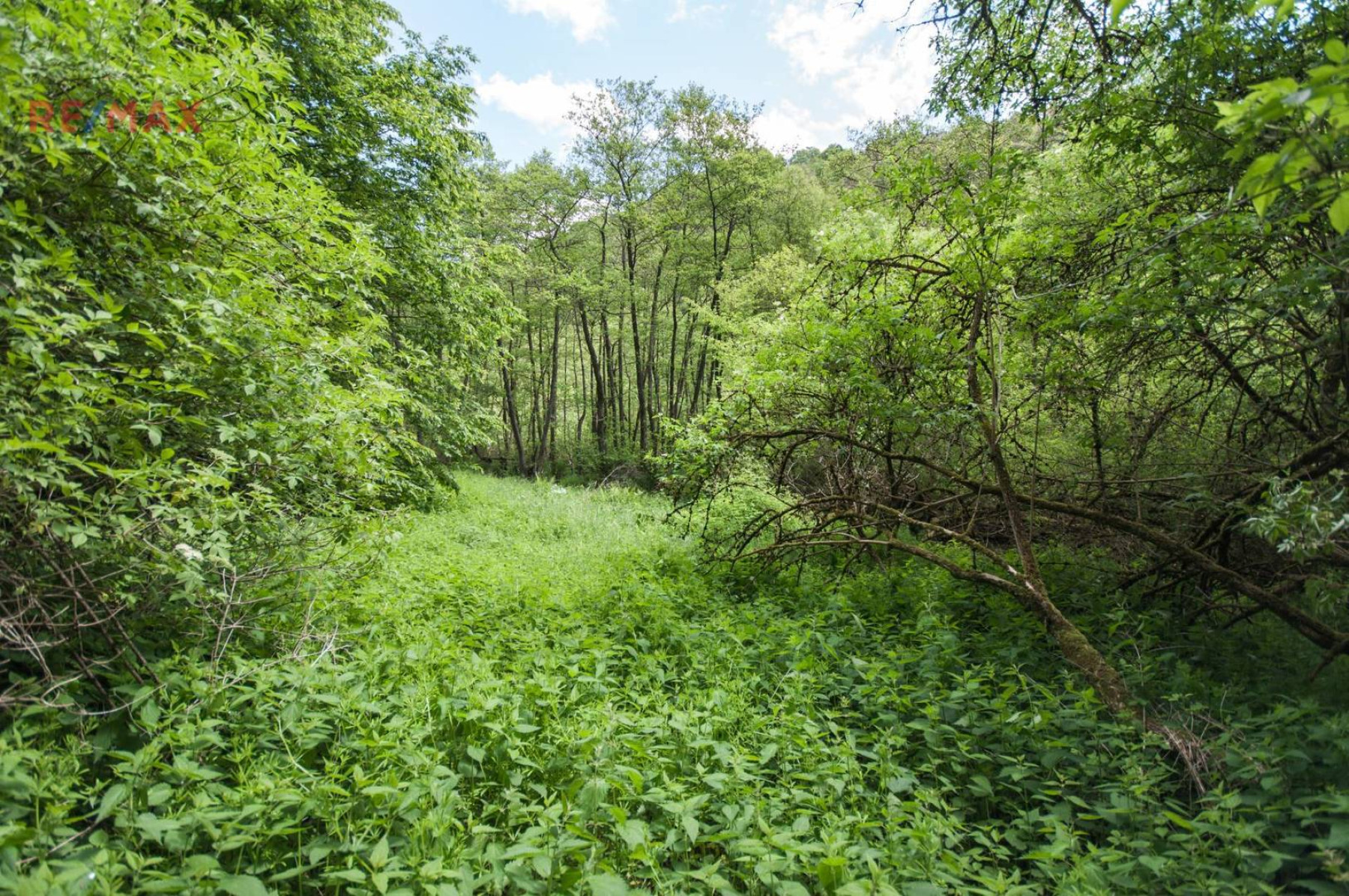 Prodej pozemku 13 685 m², Kokořín