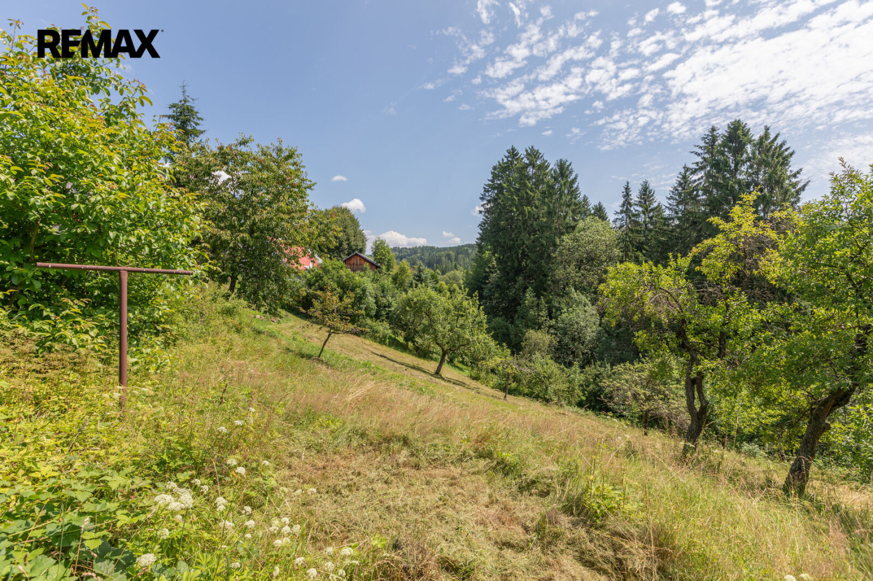 Prodej chalupy / rodinného domu, Lhotka - Zlatá Olešnice