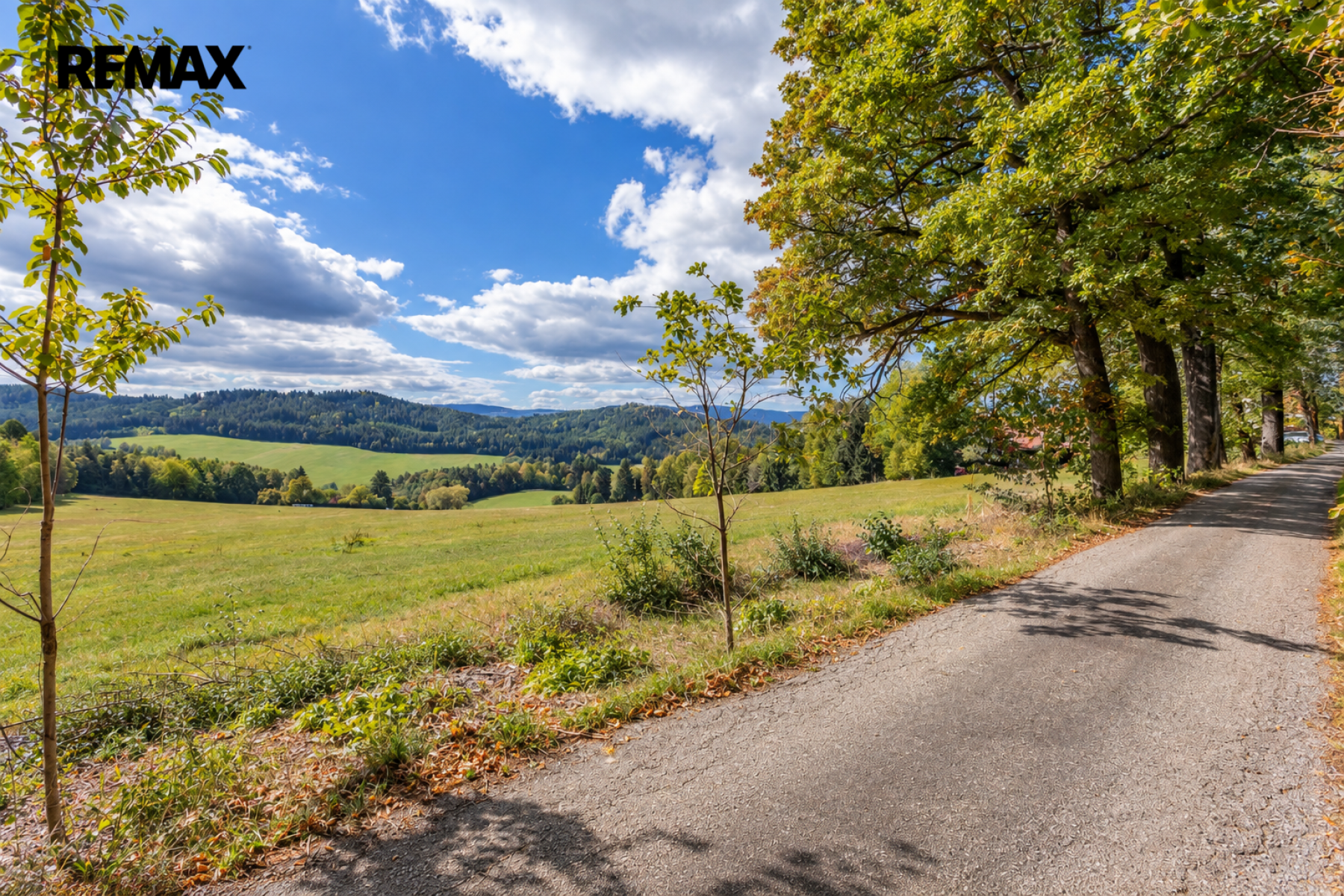 Prodej ovocného sadu 27 377 m², Borová u Chvalšin