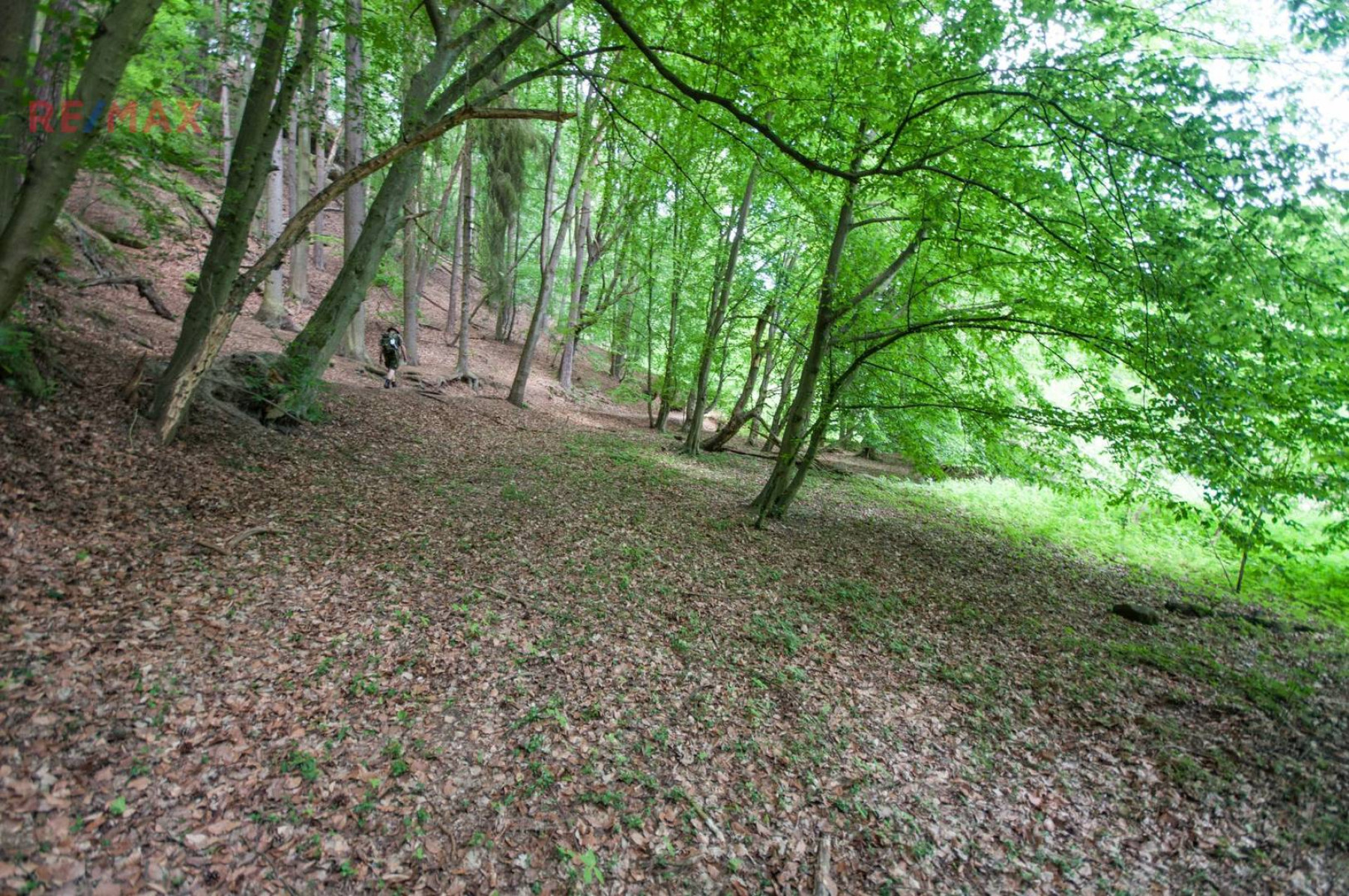 Prodej pozemku 13 685 m², Kokořín